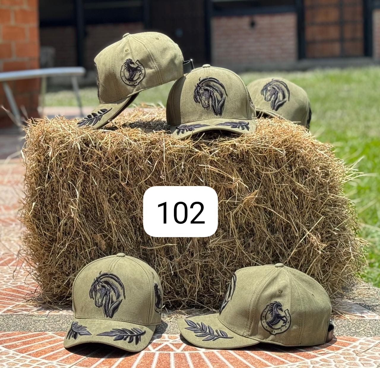 Miniatura 22 de Gorras Equinas Coleccion 31-03